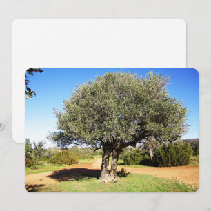 Olive Tree Flat Holiday Card