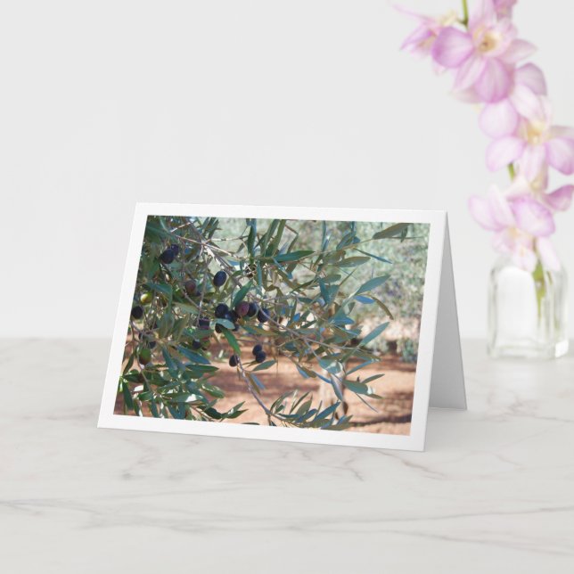 Olive Tree Portrait Card (Orchid)