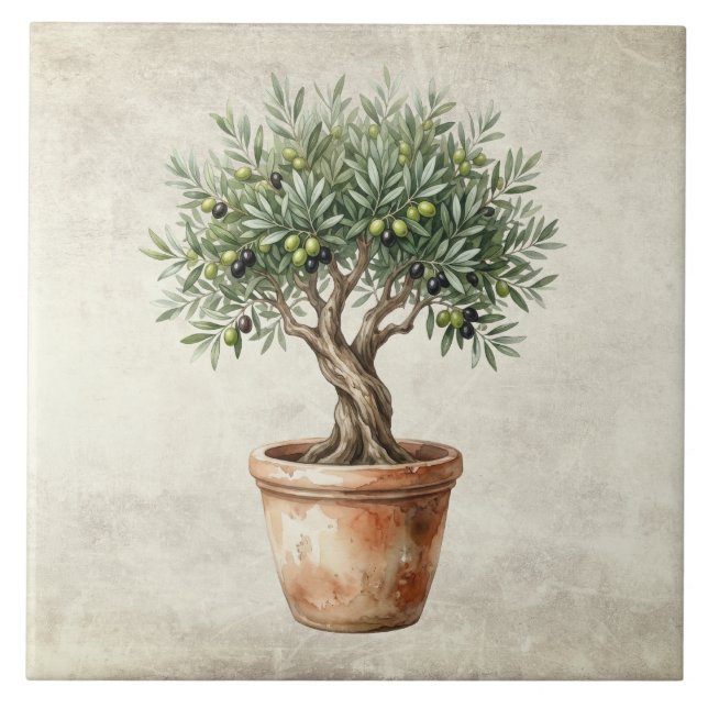 Olive Tree Topiary Mediterrean Watercolors Rustic  Tile (Front)
