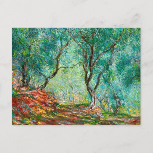 Olive Tree Wood in the Moreno Garden, 1884 Postcard