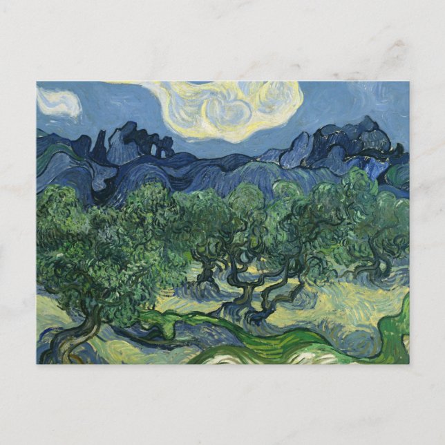 Olive Trees by Van Gogh Postcard (Front)