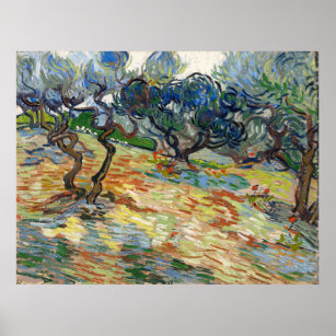 Olive Trees by Vincent Van Gogh   Poster
