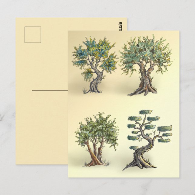 Olive trees in Provence pruned. Postcard (Front/Back)