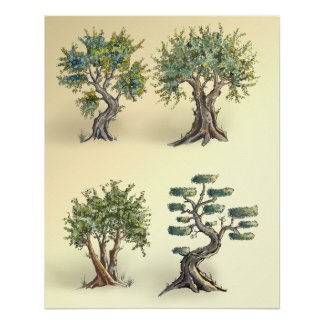 Olive trees in Provence pruned. Poster