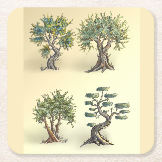 Olive trees in Provence pruned. Square Paper Coaster (Front)