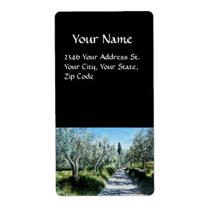 OLIVE TREES IN RIMAGGIO