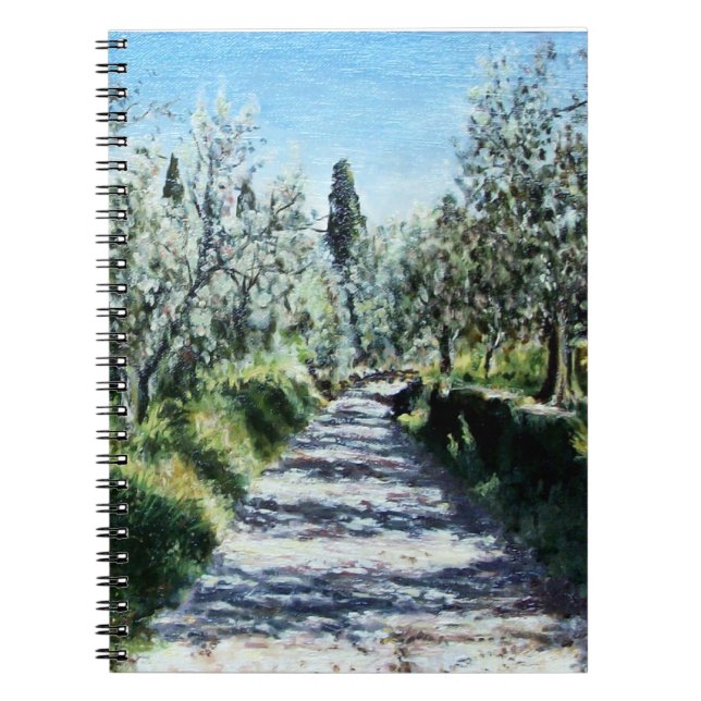 OLIVE TREES IN RIMAGGIO SPIRAL NOTEBOOK (Front)