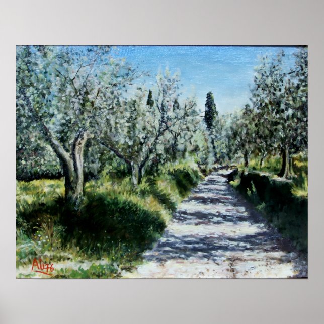 OLIVE TREES IN RIMAGGIO Tuscany landscape Poster (Front)