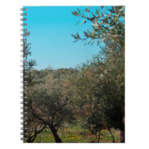 Olive trees in the Apulian landscape in autumn. ag Notebook