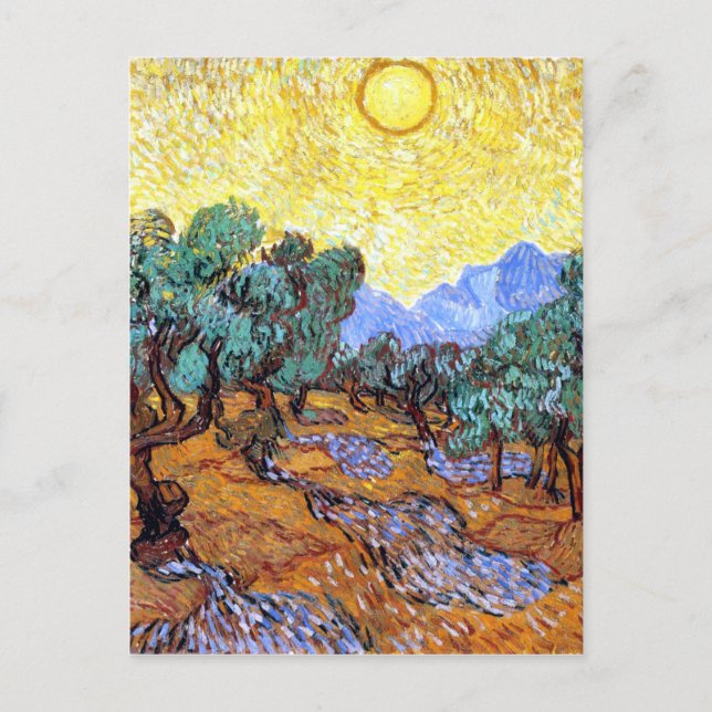 Olive Trees in the Sun Van Gogh Postcard (Front)