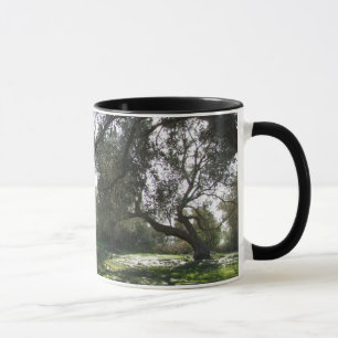 Olive Trees Mug