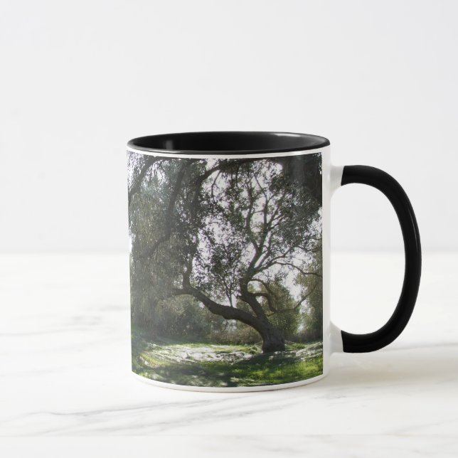 Olive Trees Mug (Right)