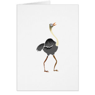Oliver Ostrich