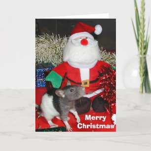 Oliver Santa Holiday Card