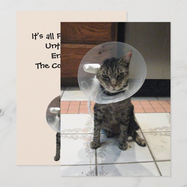 Oliver The Cats Cone of Shame Flat Get Well Card (Front/Back)