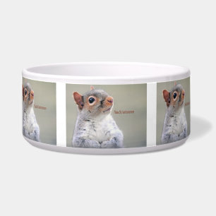 Oliver Twist Squirrel
