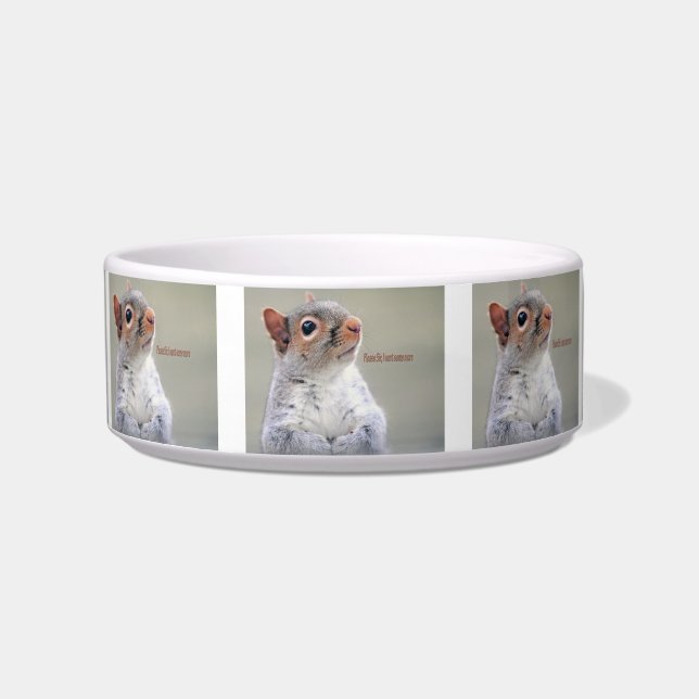 Oliver Twist Squirrel Bowl (Front)