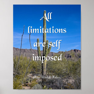 Oliver Wendell Holmes, Limitations Poster