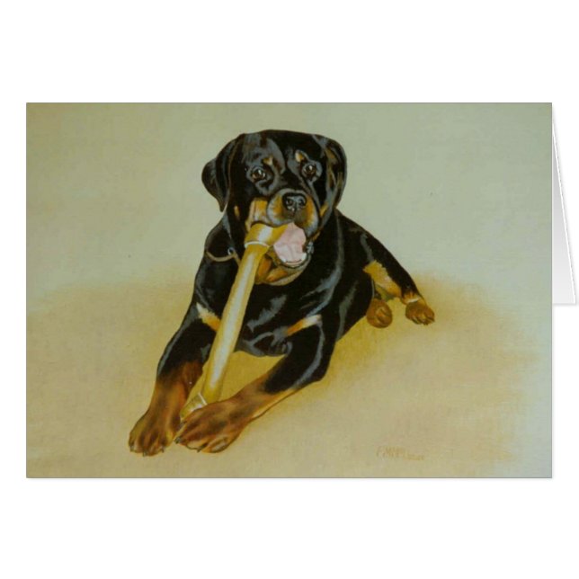 Ollie (Front Horizontal)