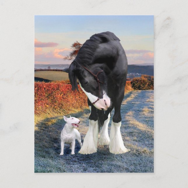 "Ollie & Blackbird" Postcard (Front)