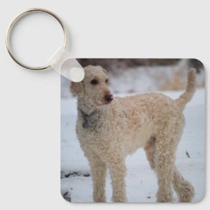 Ollie Key Ring