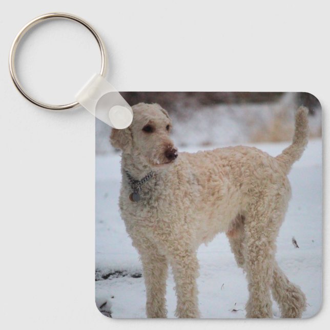 Ollie Key Ring (Front)