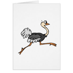 Ollie Ostrich