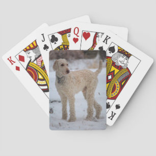 Ollie Playing Cards
