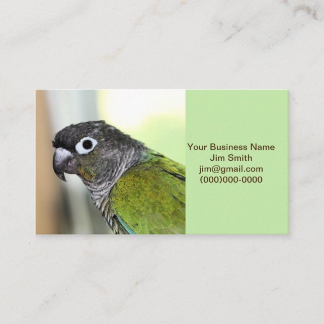 Ollie wallie business card (Front)