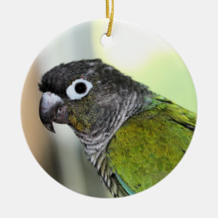 Ollie wallie ceramic tree decoration