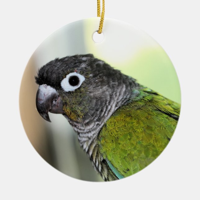 Ollie wallie ceramic tree decoration (Front)