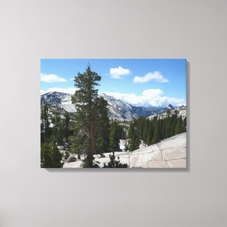 Olmsted Point III in Yosemite National Park Canvas Print
