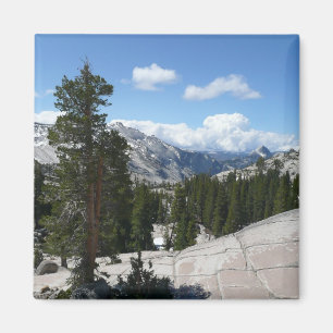 Olmsted Point III in Yosemite National Park Magnet