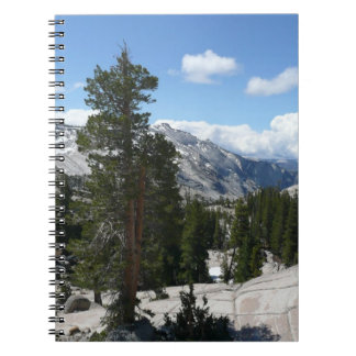 Olmsted Point III in Yosemite National Park Spiral Notebook