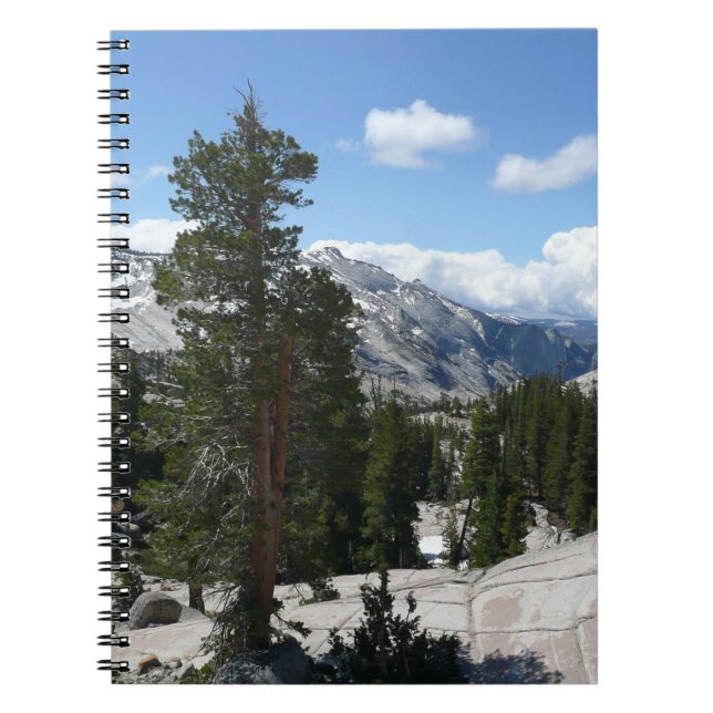 Olmsted Point III in Yosemite National Park Spiral Notebook (Front)