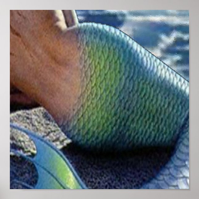 OLOKUN SIRENA POSTER (Front)