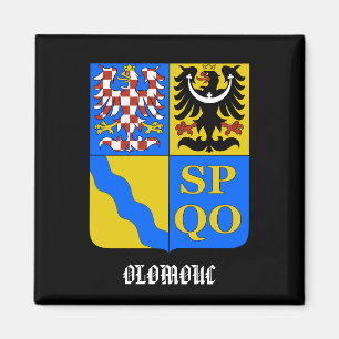 Olomouc Czech Republic Kitchen Magnet