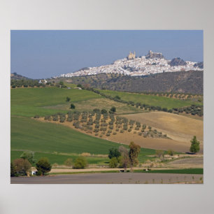 Olvera, Andalusia, Spain Poster