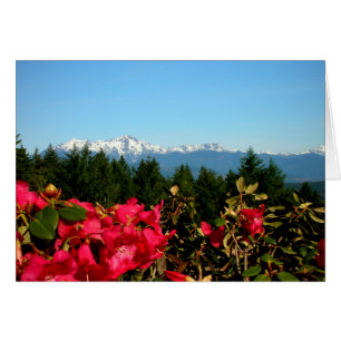 Olympic Mountains and Rododenrons