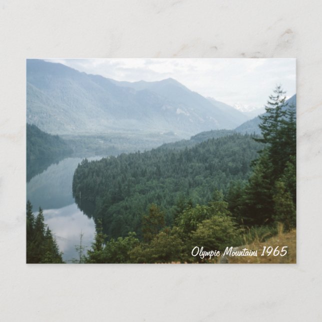 Olympic Mountains Postcard (Front)