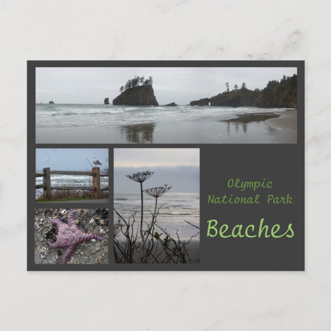 Olympic N.P. (Beaches 2) Postcard (Front)