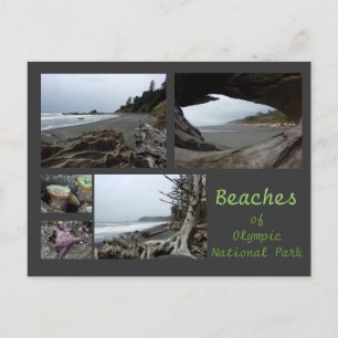 Olympic N.P. (Beaches - Kalaloch, Rialto, Beach 4) Postcard