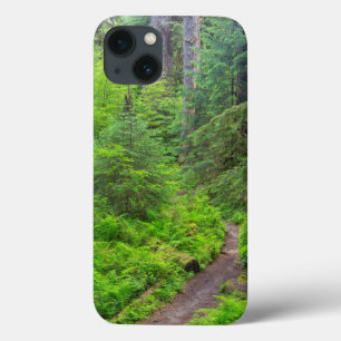 Olympic National Park, Forest trail iPhone 13 Case