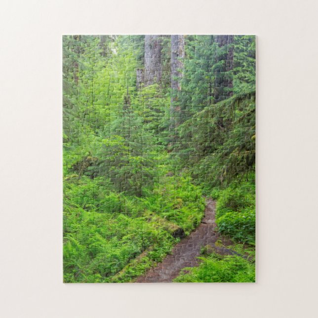 Olympic National Park, Forest trail Jigsaw Puzzle (Vertical)