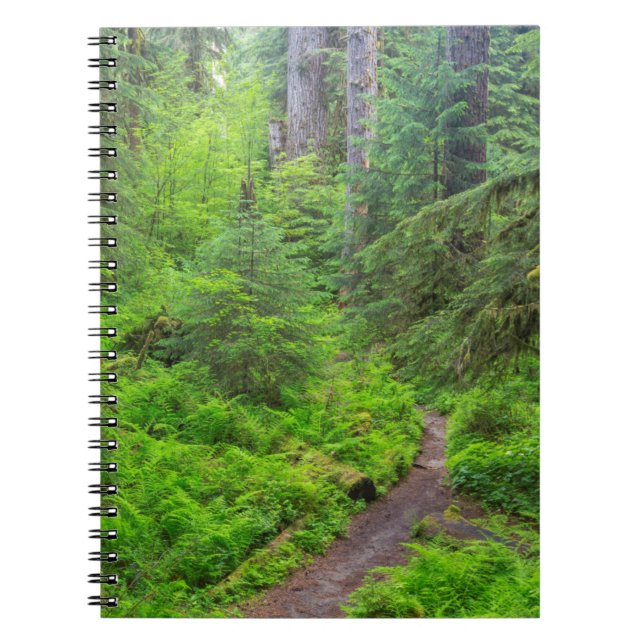 Olympic National Park, Forest trail Spiral Notebook (Front)
