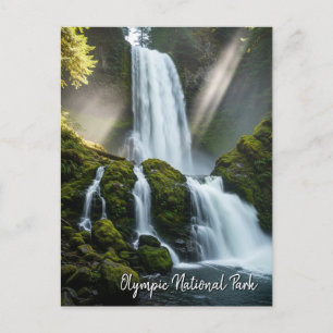 Olympic national park hoh rainforest waterfall postcard
