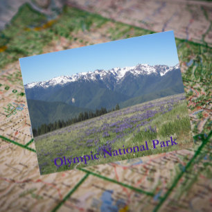 Olympic National Park Mountains and Meadows Postcard