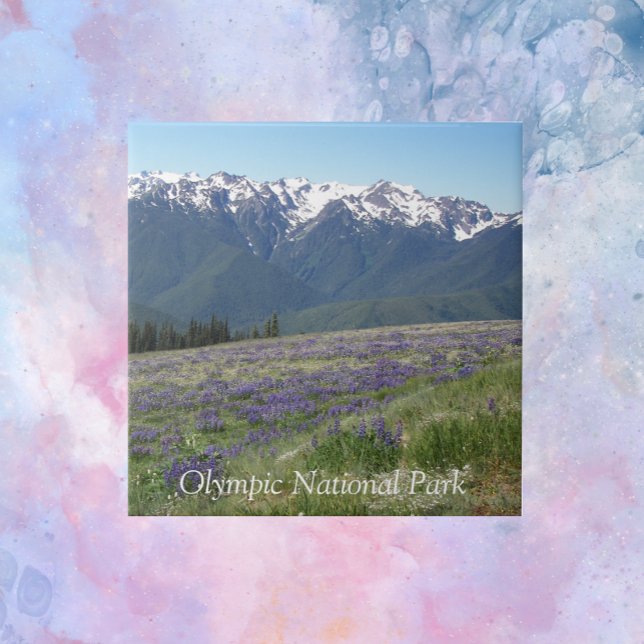 Olympic National Park Mountains and Meadows Tile (In Situ)
