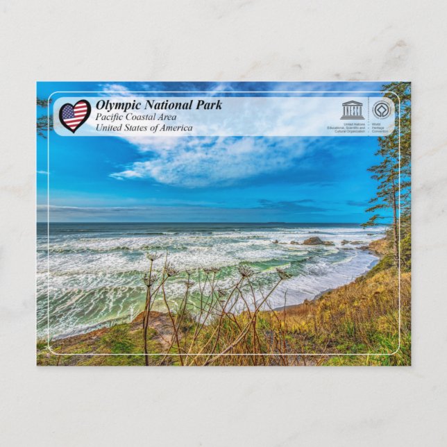 Olympic National Park - Pacific Coastal Area Postcard (Front)