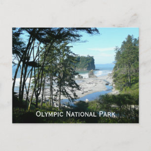 Olympic National Park Postcard